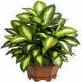Plante artificielle verte avec pot en bois 80 cm